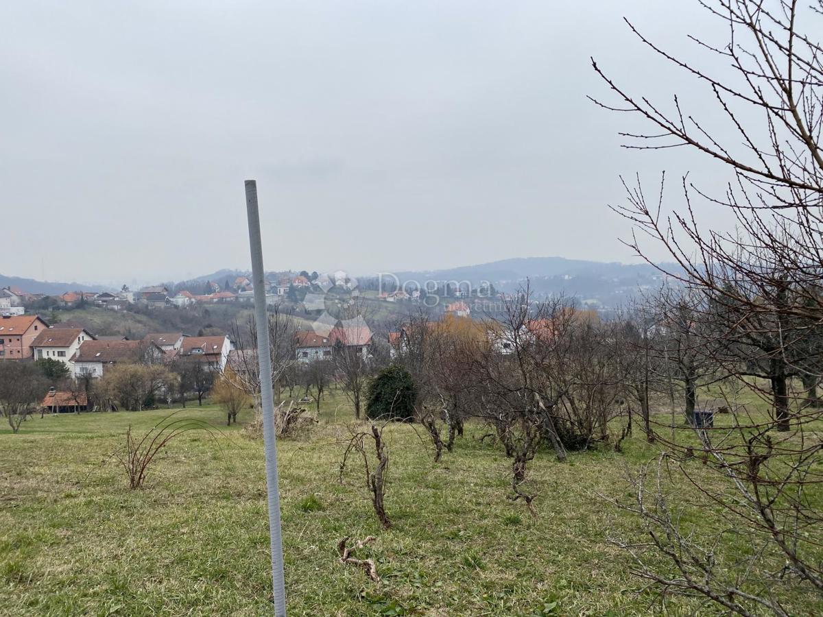 MIKULIĆI