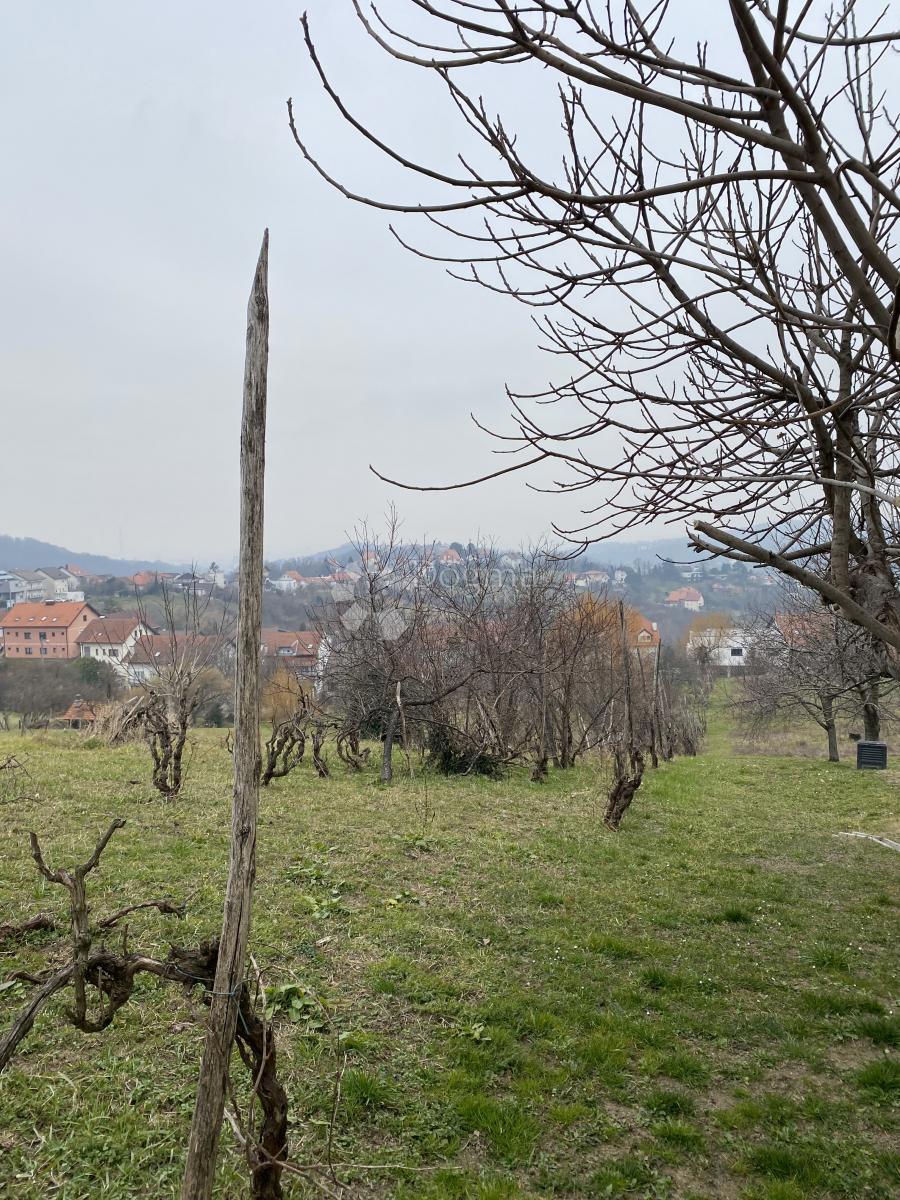 MIKULIĆI