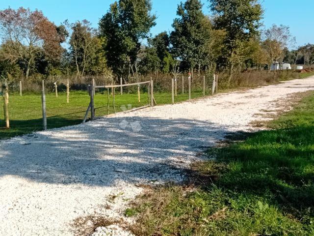ŽUNTIĆI