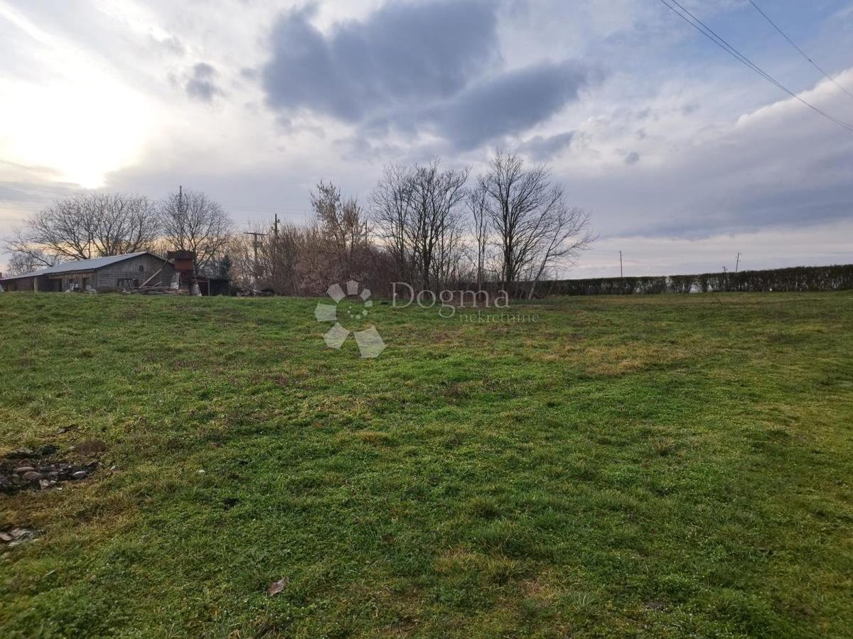 KNEŽEVI VINOGRADI