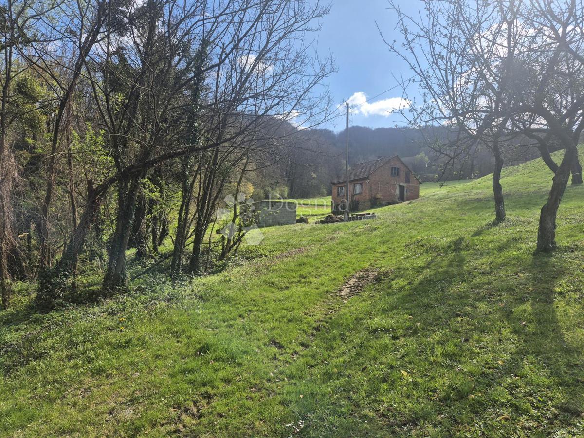 HLEVNICA