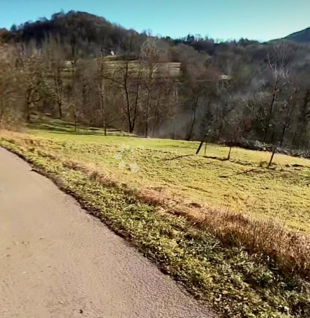 LJUBOŠINA