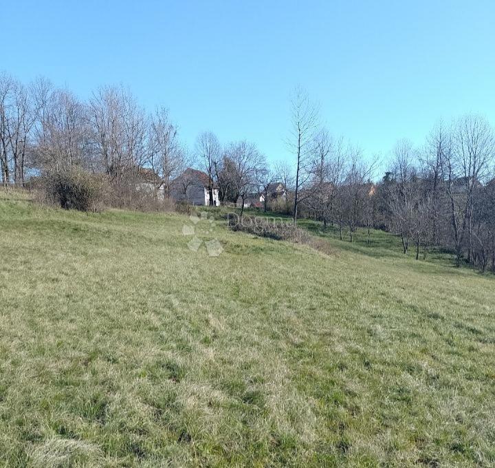 LJUBOŠINA