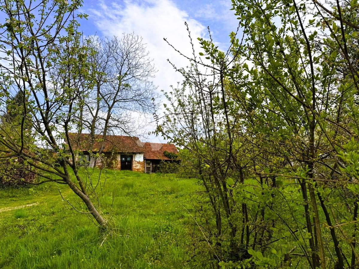 BERETINEC