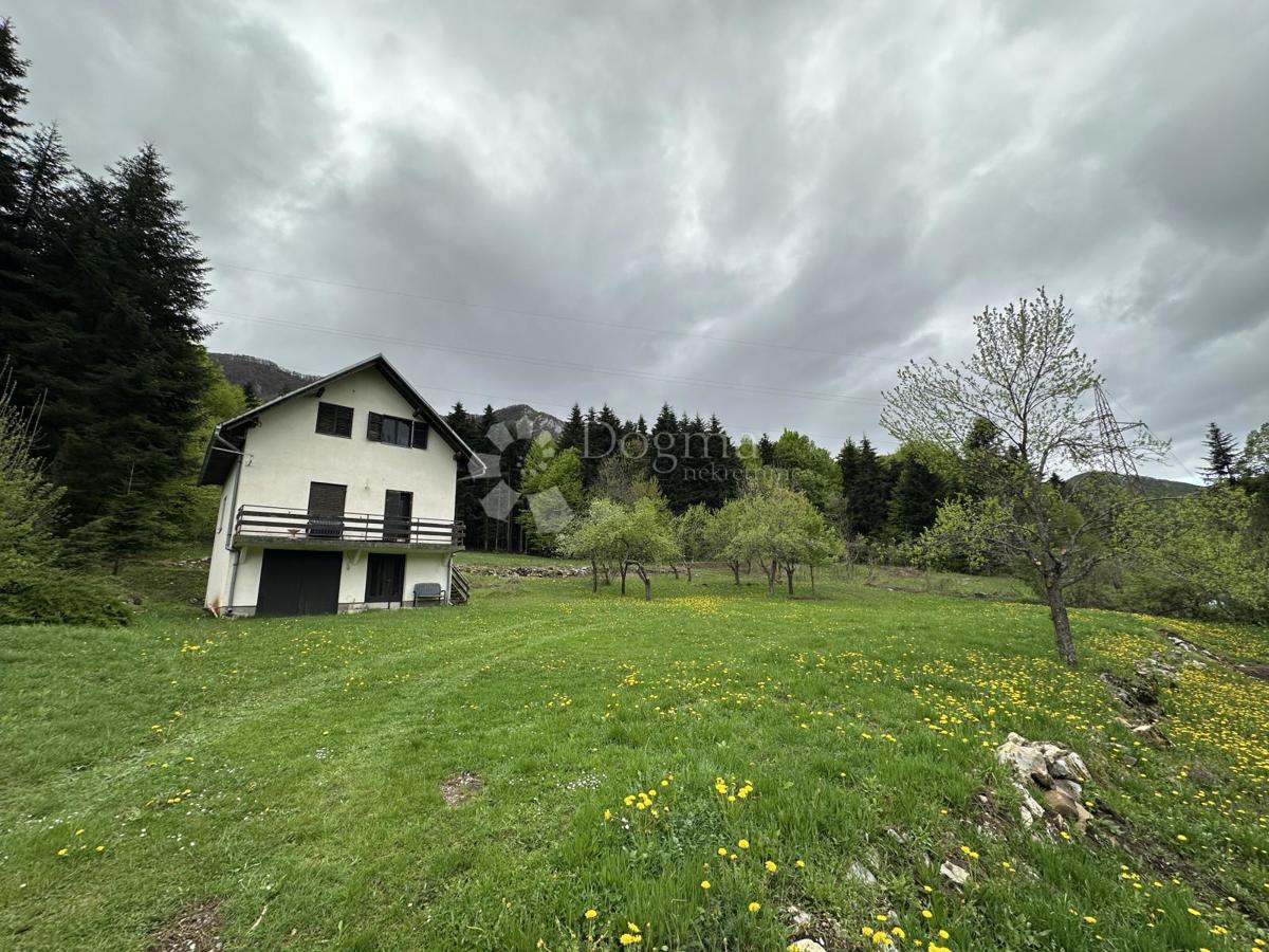 BRUŠANE