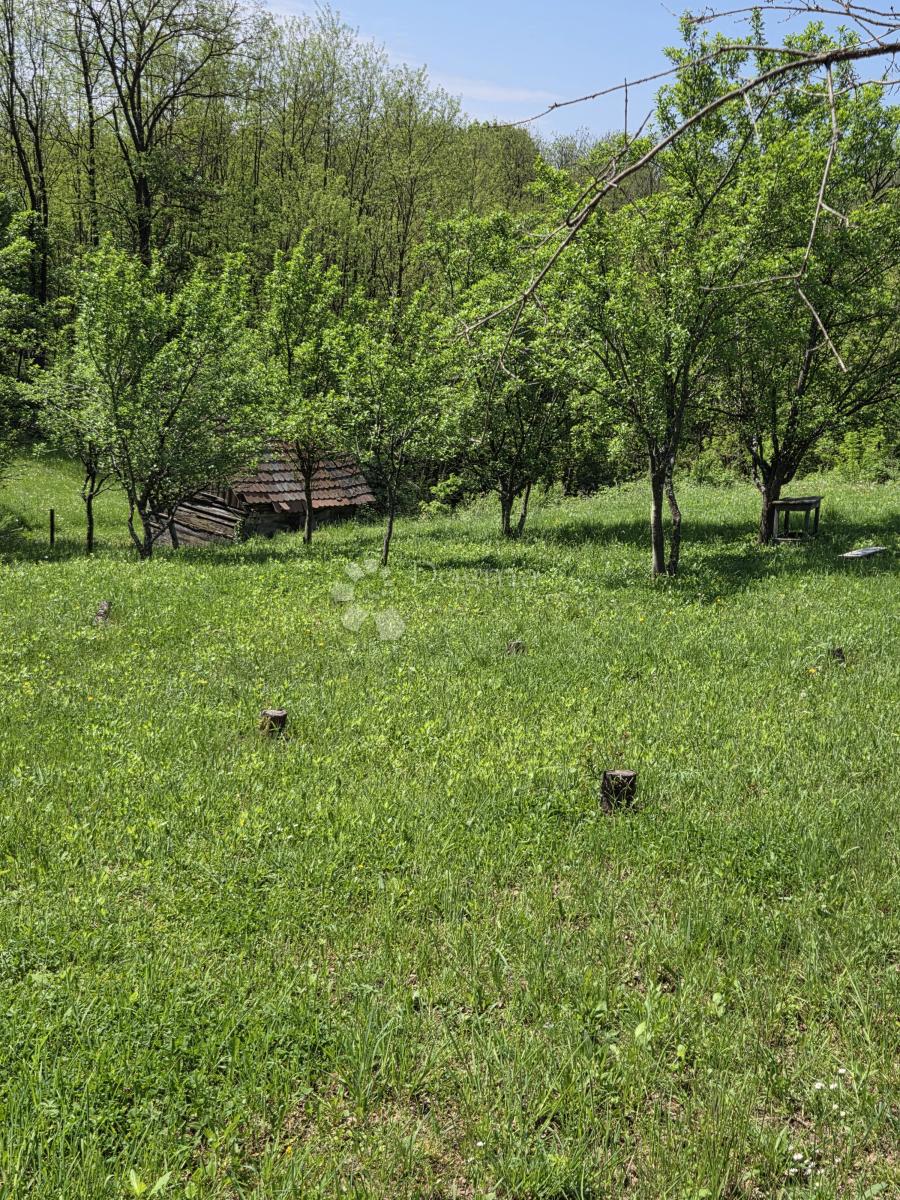 HREBINEC