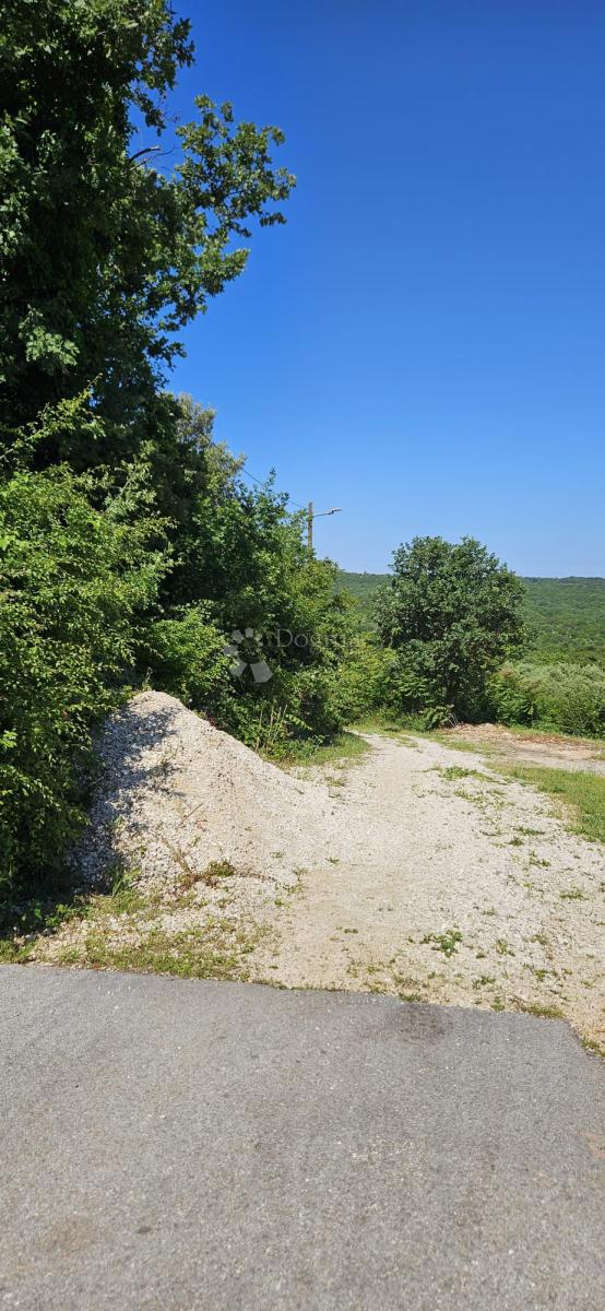 RAKALJ