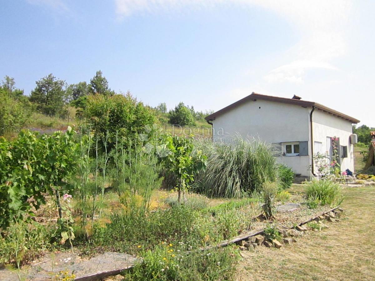 GROŽNJAN