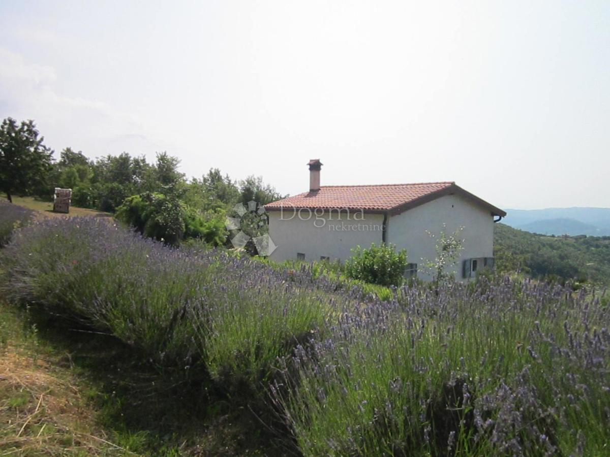 GROŽNJAN