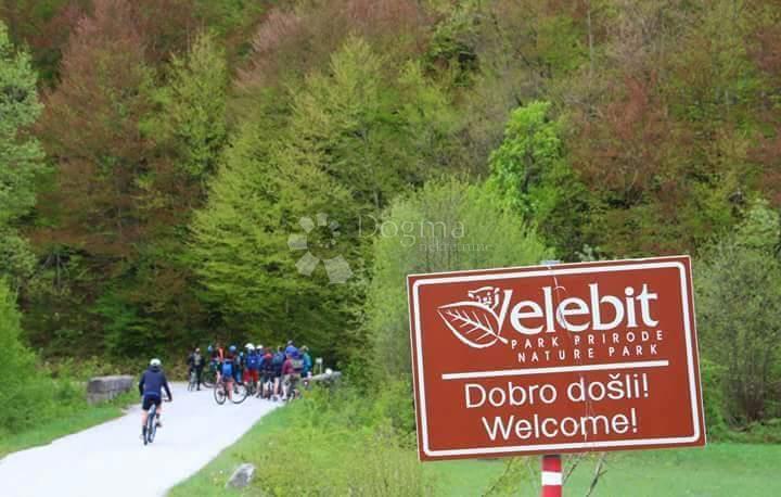 SVETI ROK