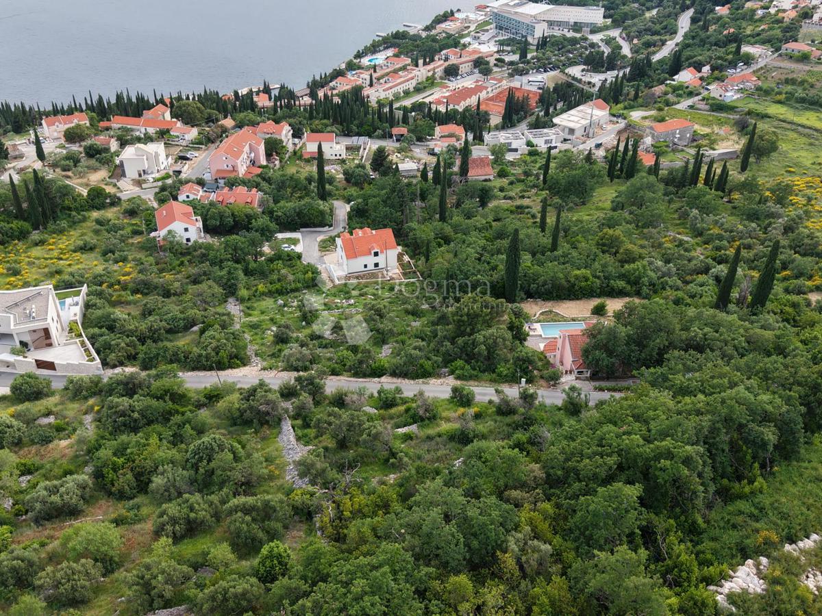 ORAŠAC