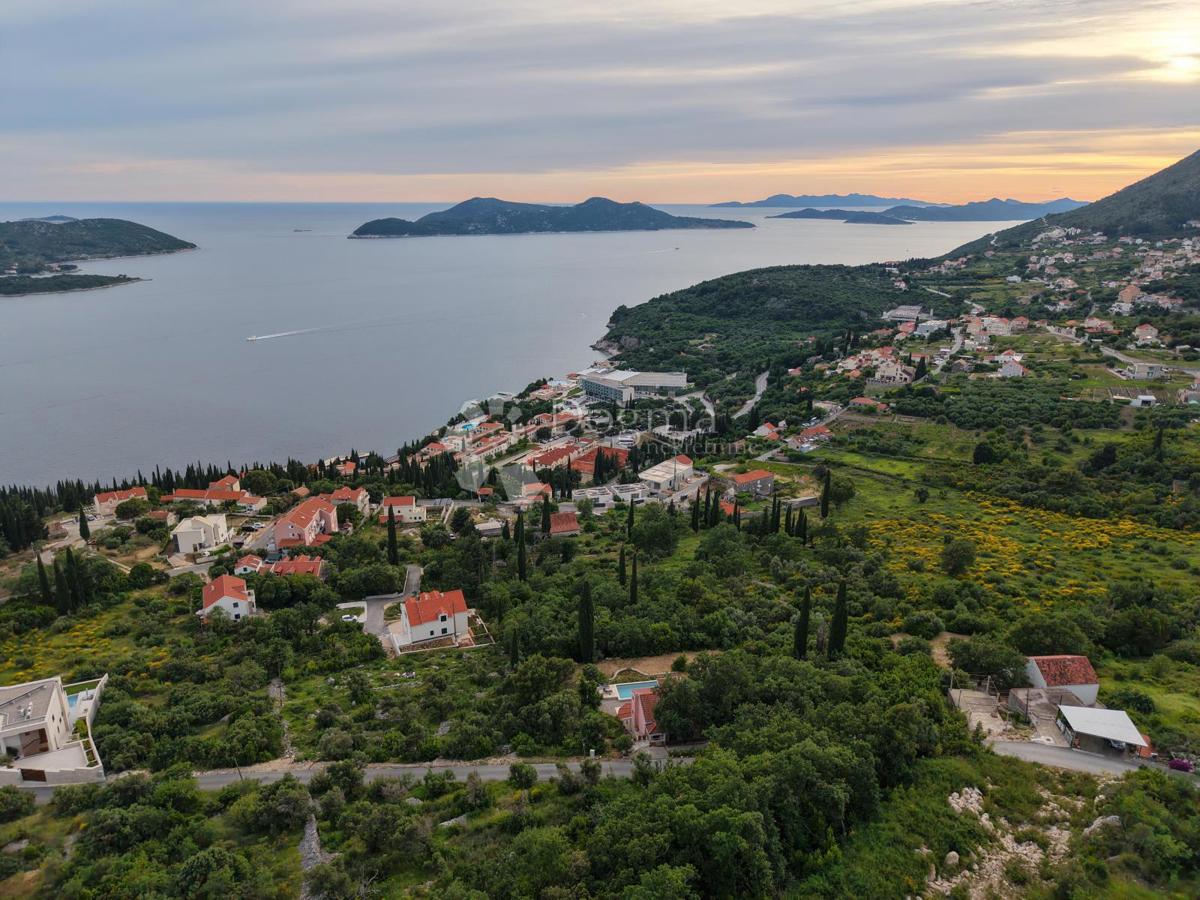 ORAŠAC