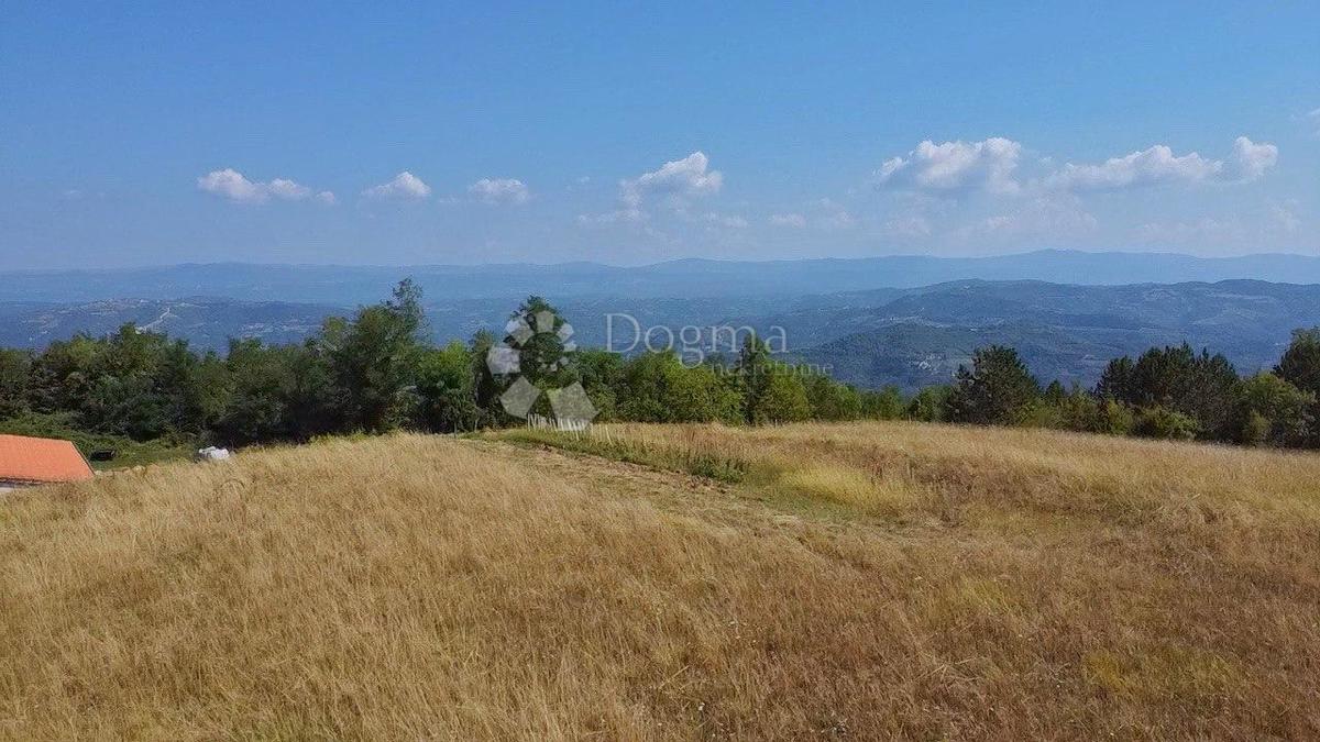 MOTOVUN