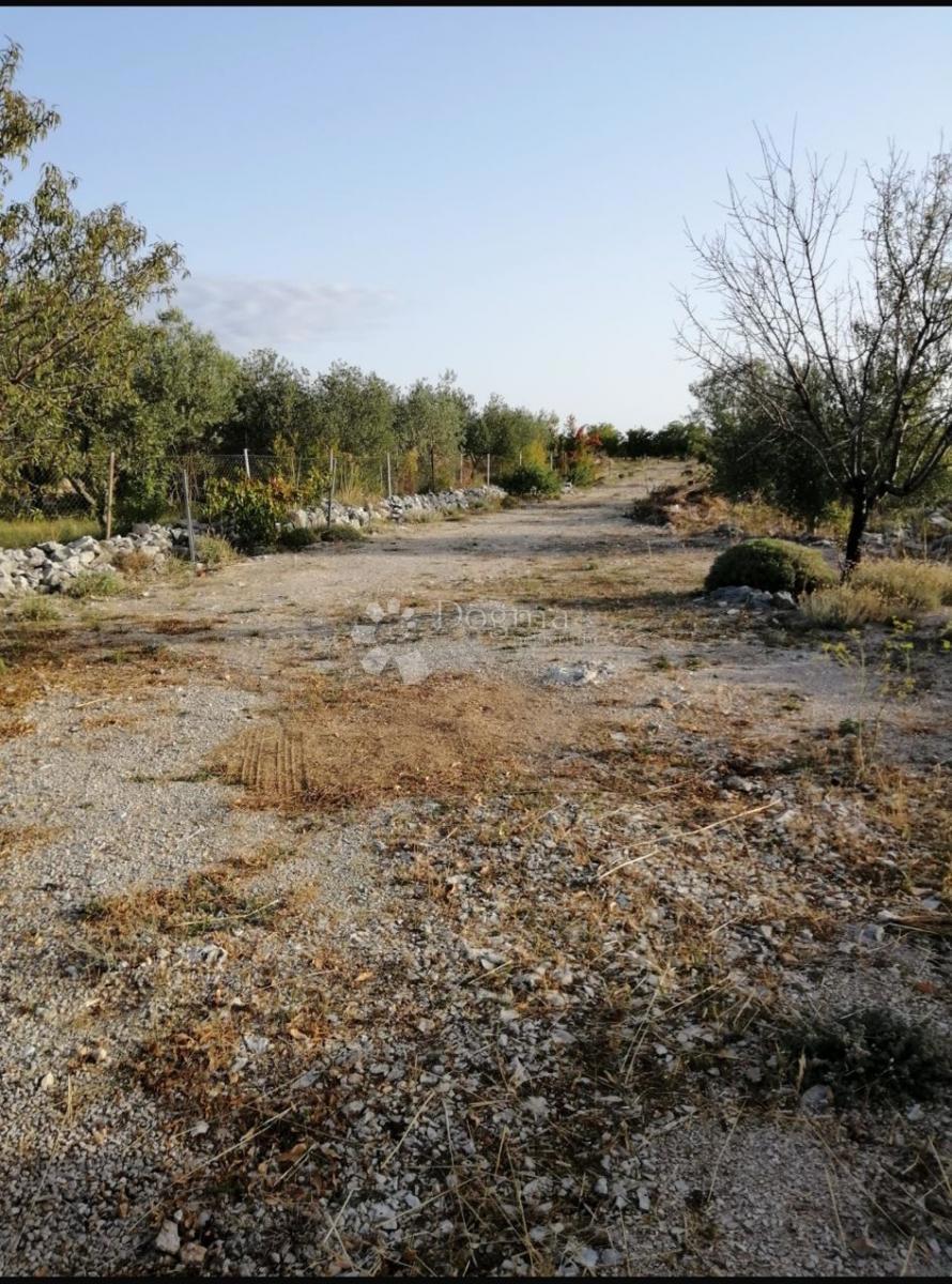 ČISTA VELIKA