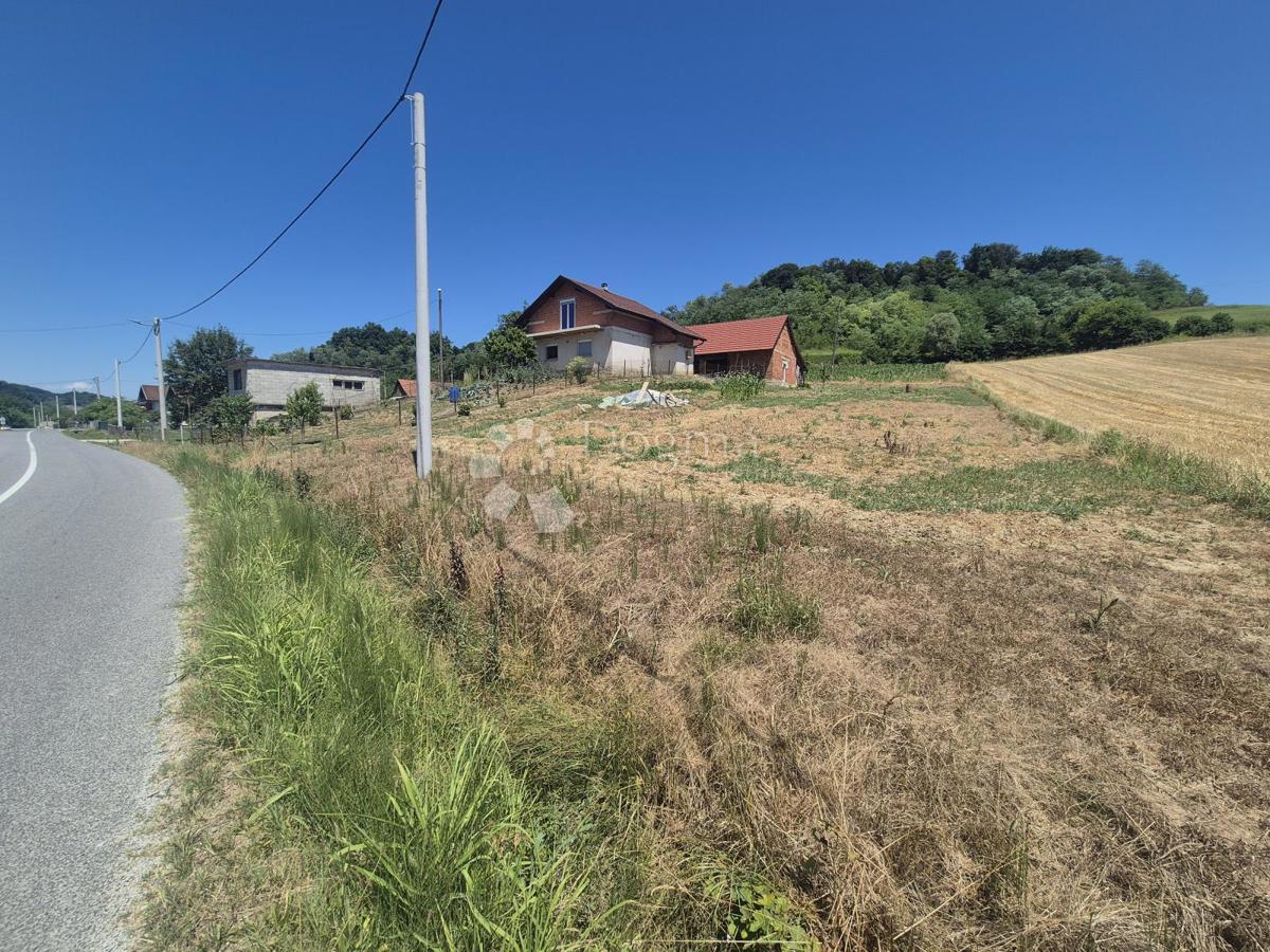 DRUŽILOVEC