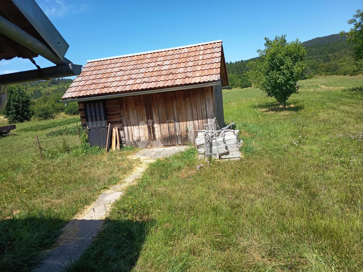 SABORSKO
