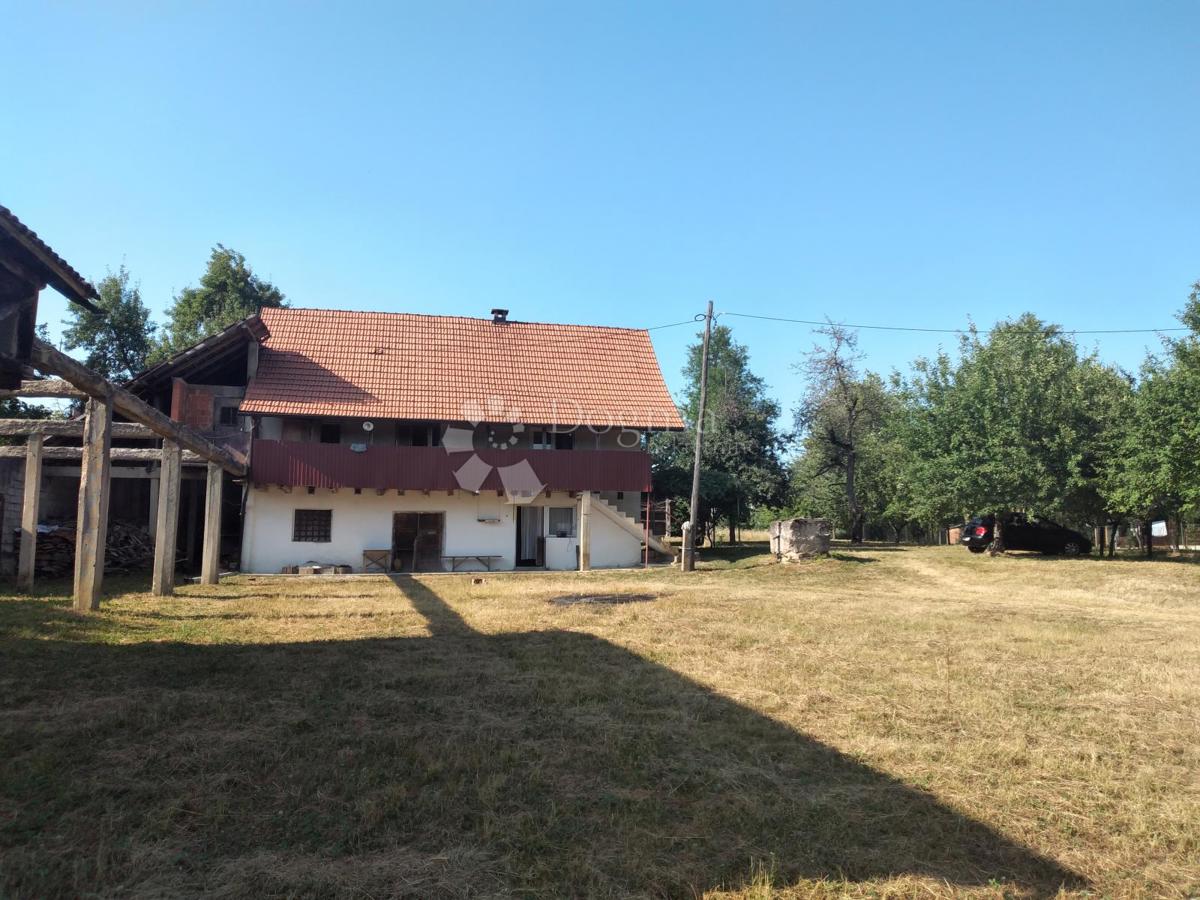 BLATUŠA
