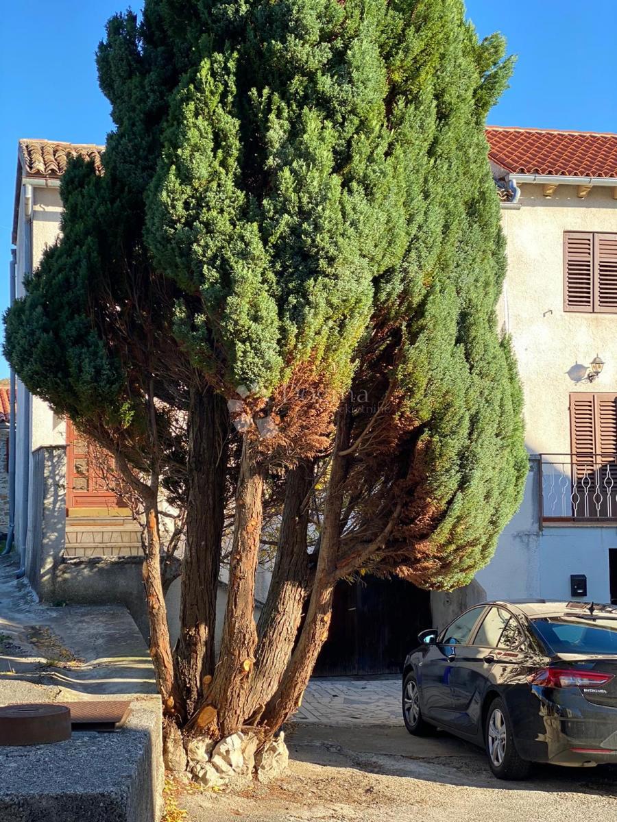 BUZET