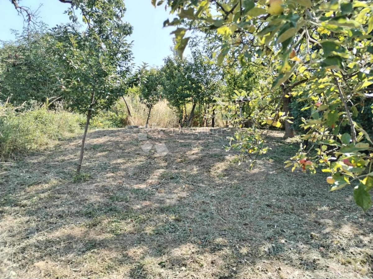 VIROVITICA