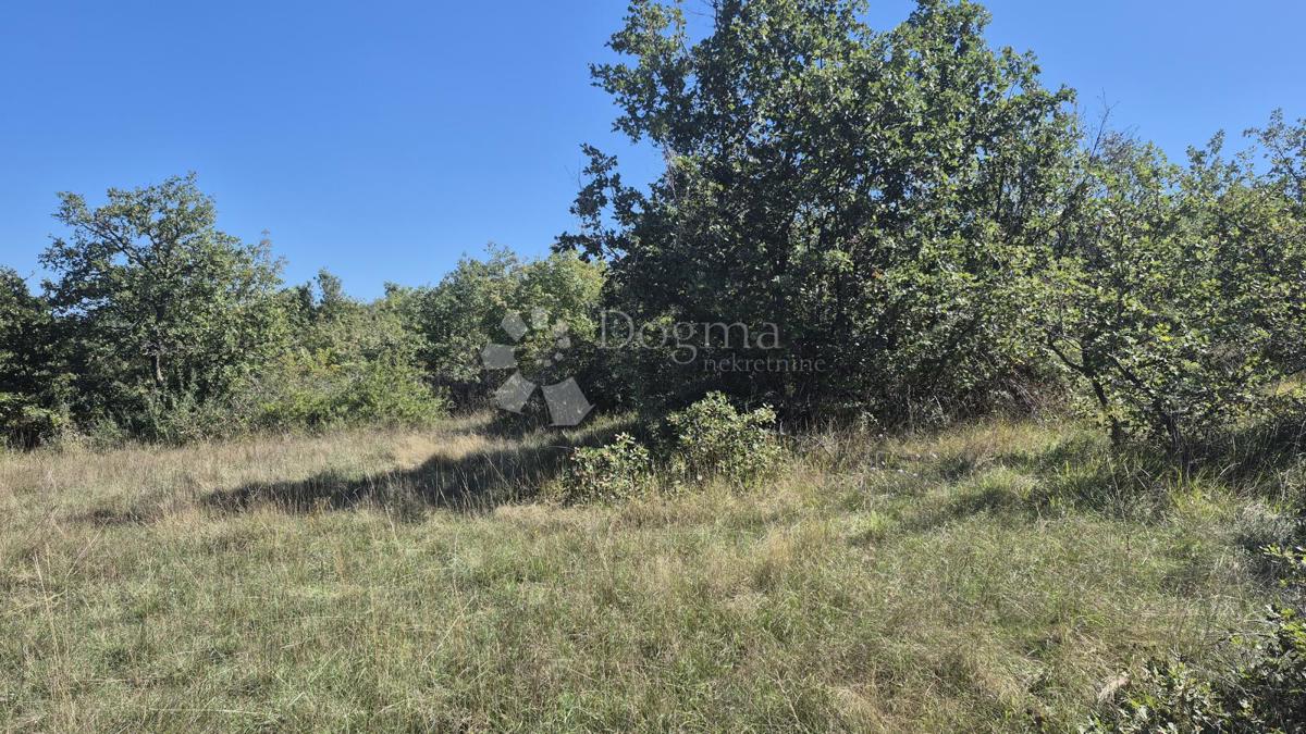 ČABRUNIĆI