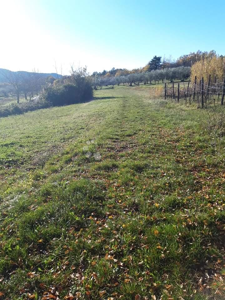 SOVINJAK