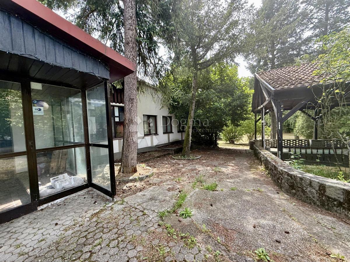 GRAČANI