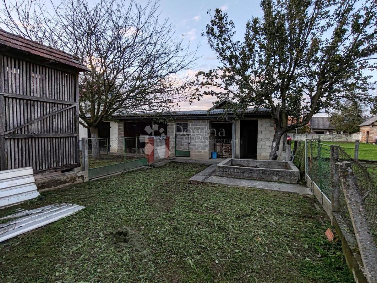 image 13