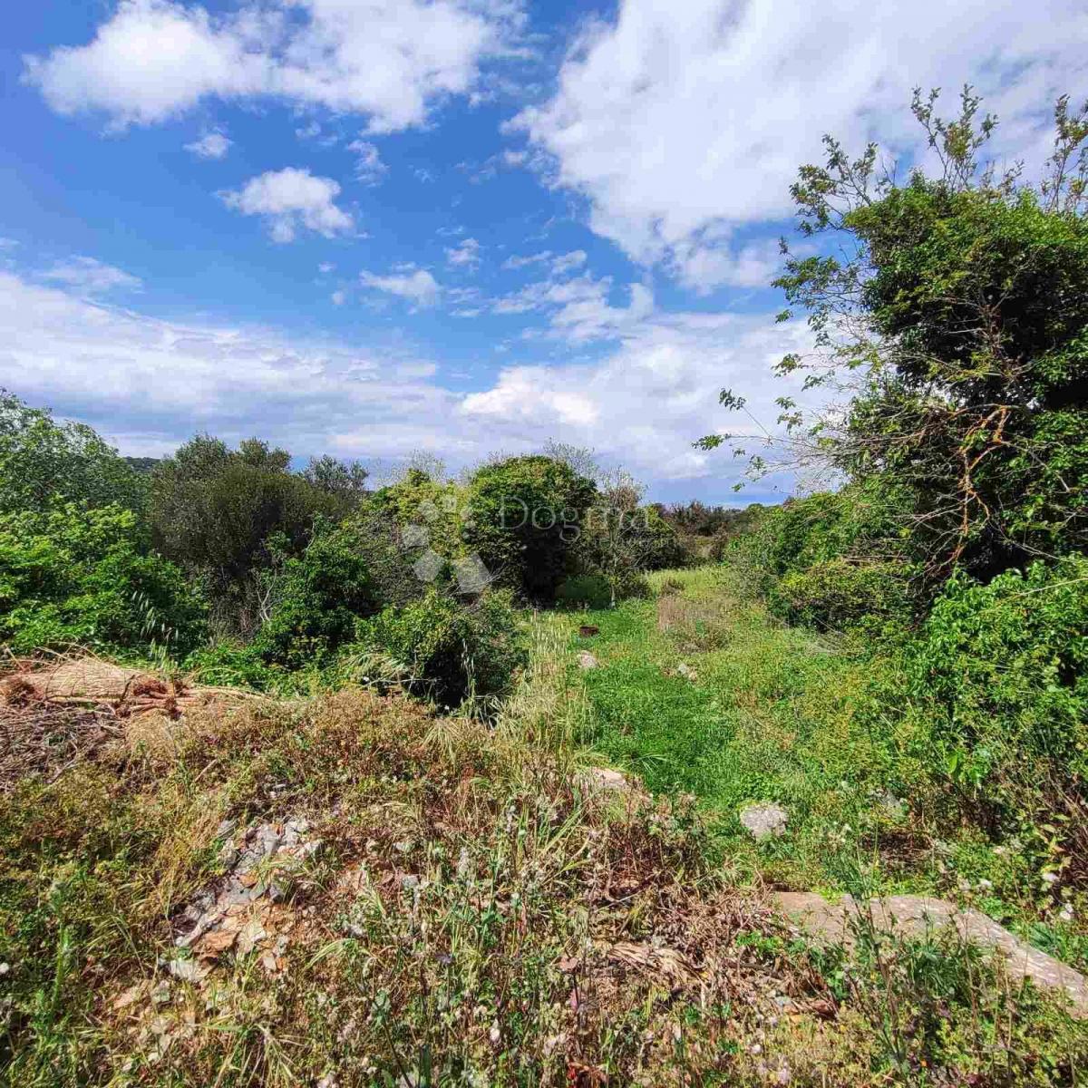 Terreno DUGI OTOK, 85.650 €