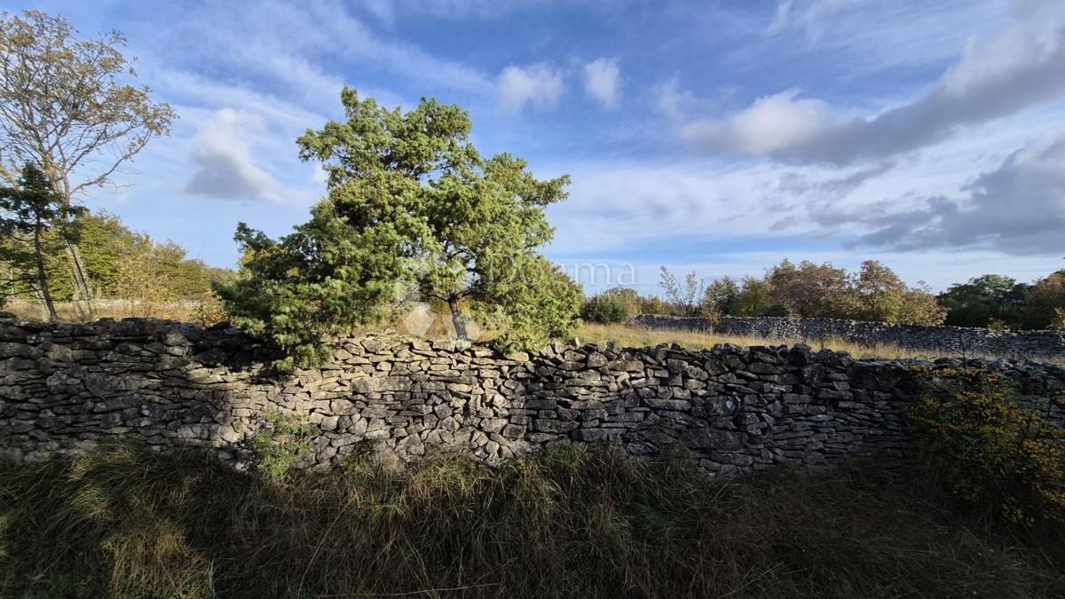 Terreno MARČANA, 30.000 €