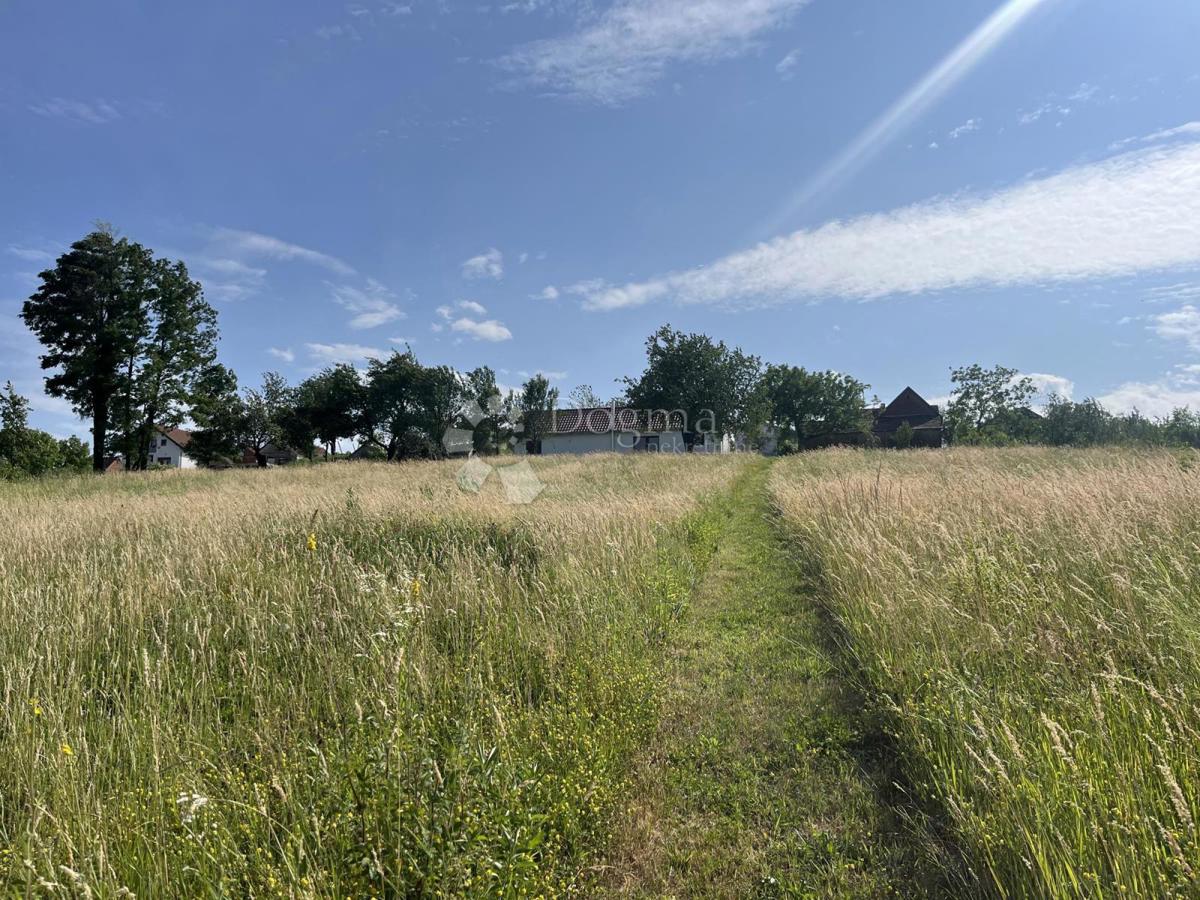 Casa NAŠICE, 167.000 €