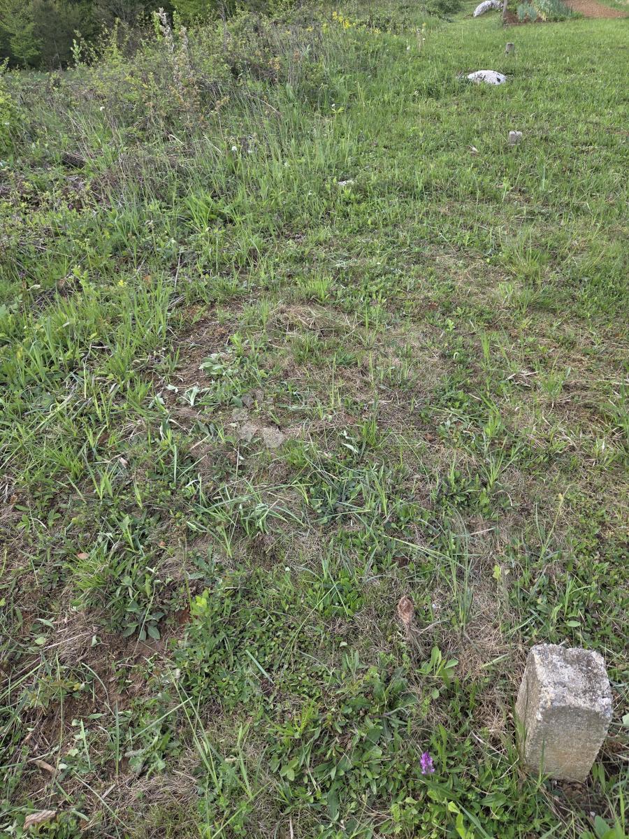 image 16