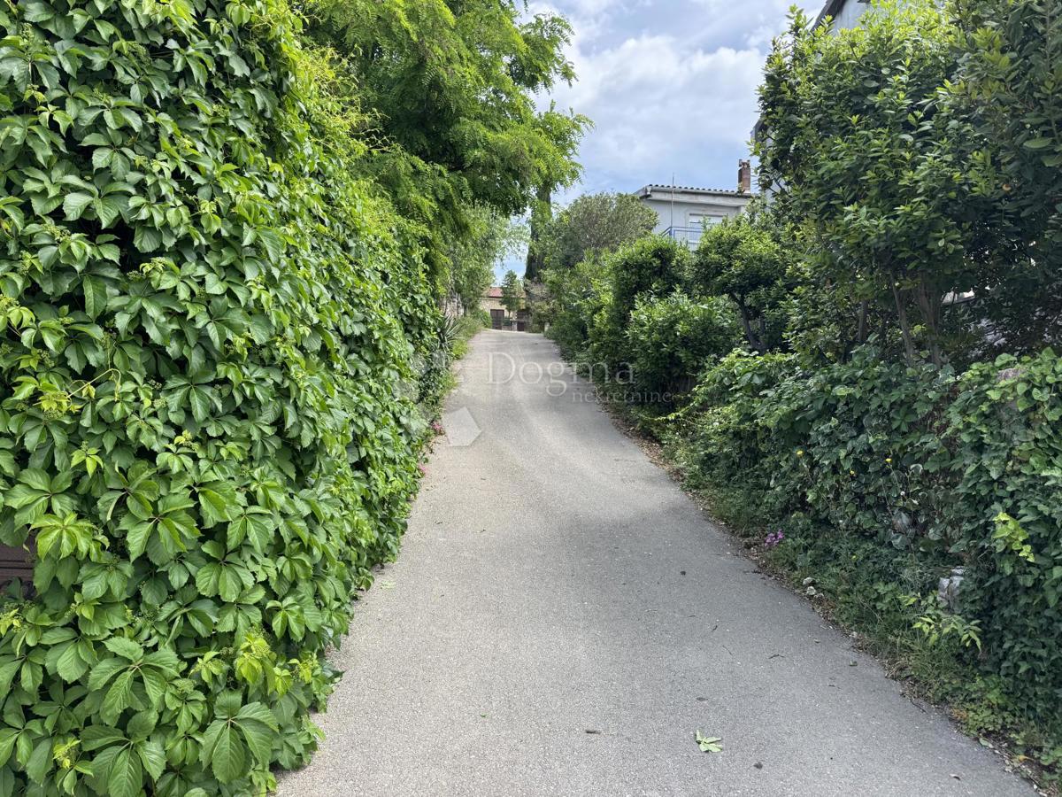 image 33