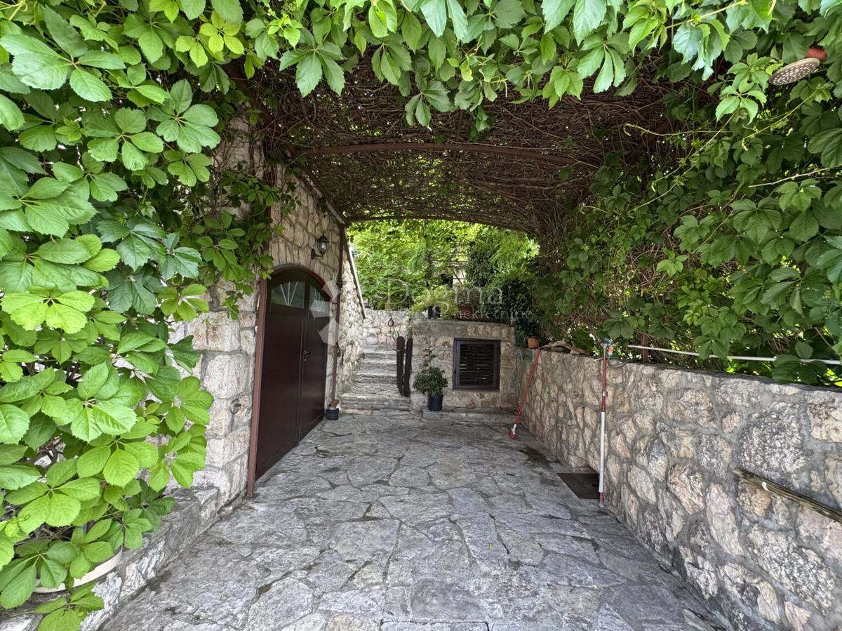 image 23
