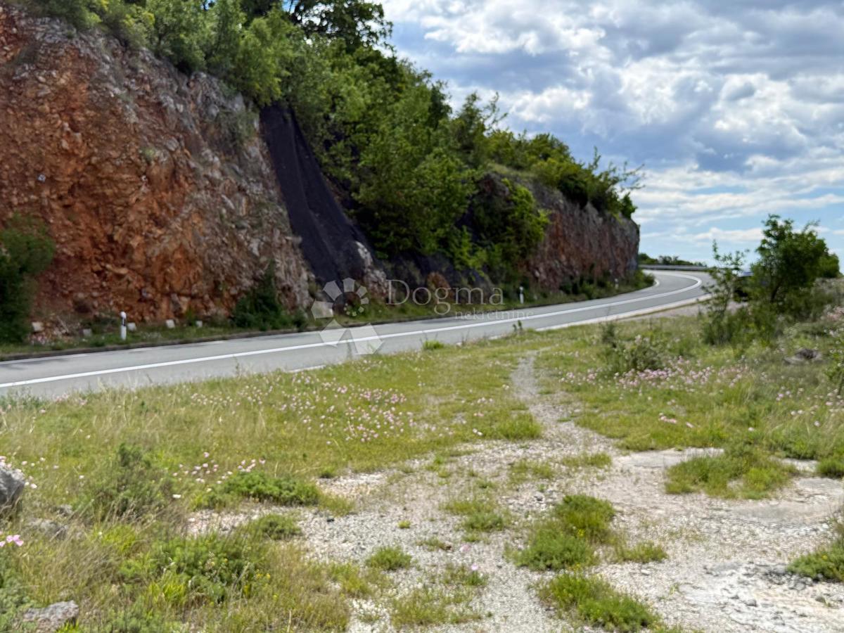 image 17