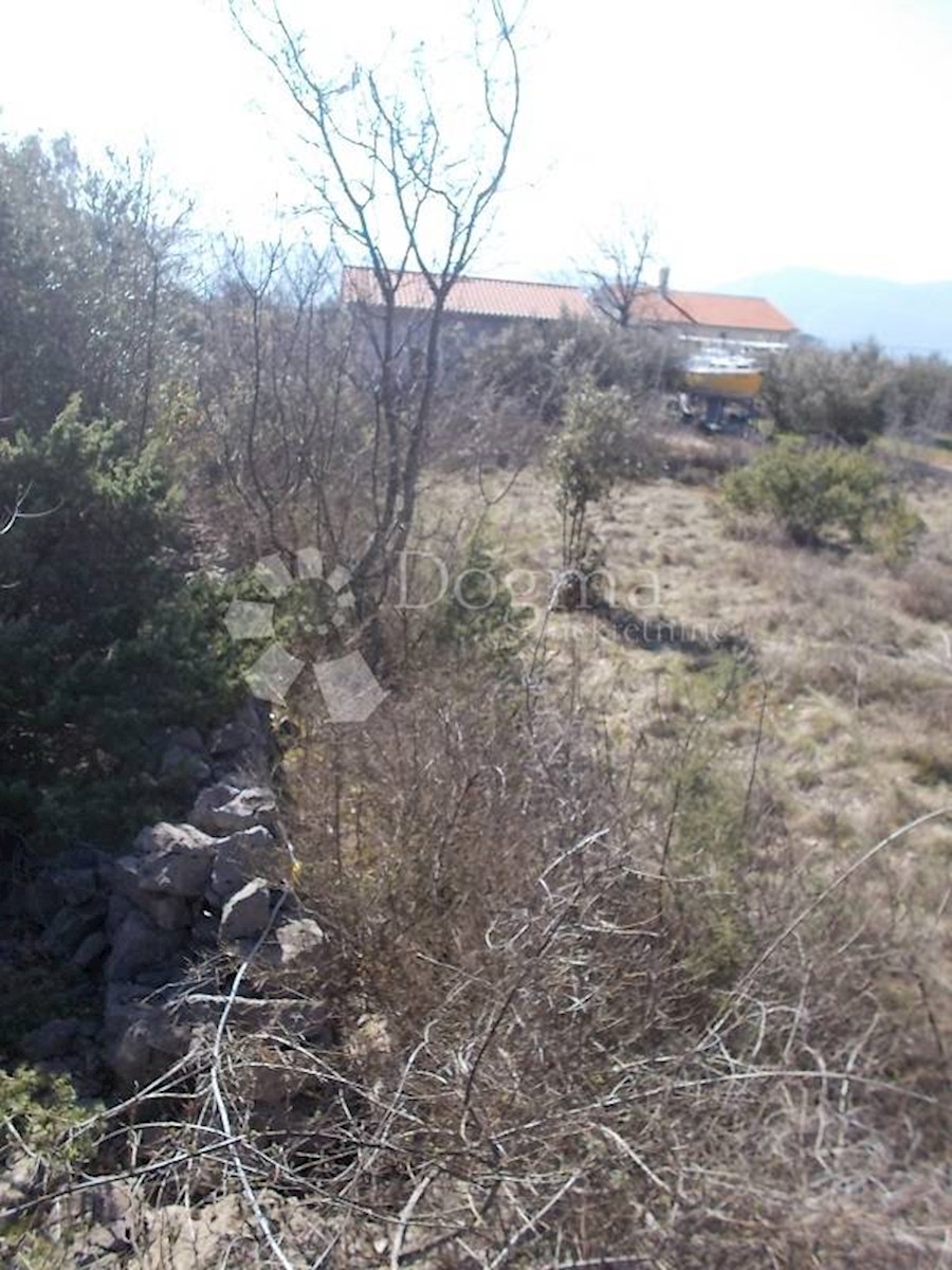 LINARDIĆI