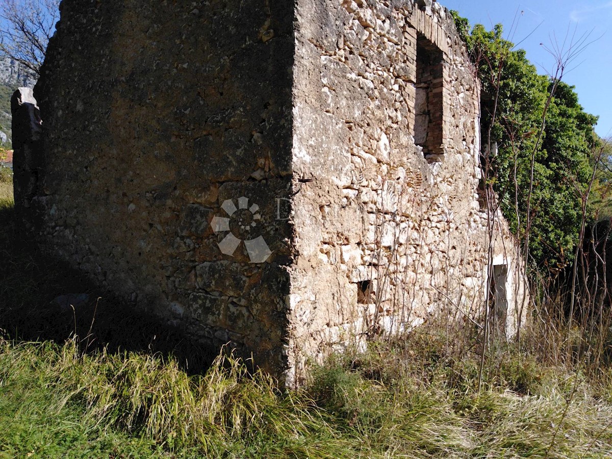 BRIBIR