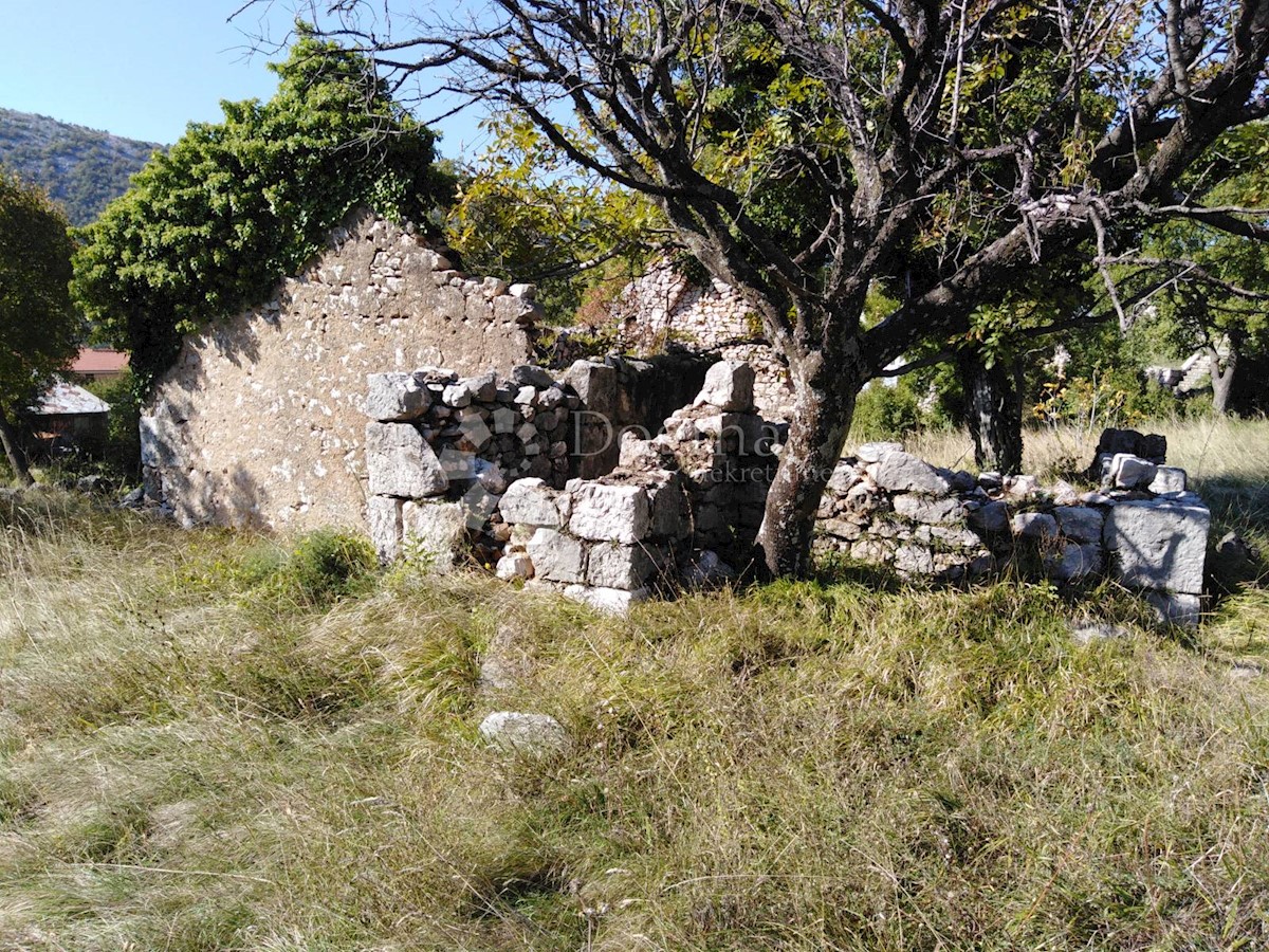 BRIBIR