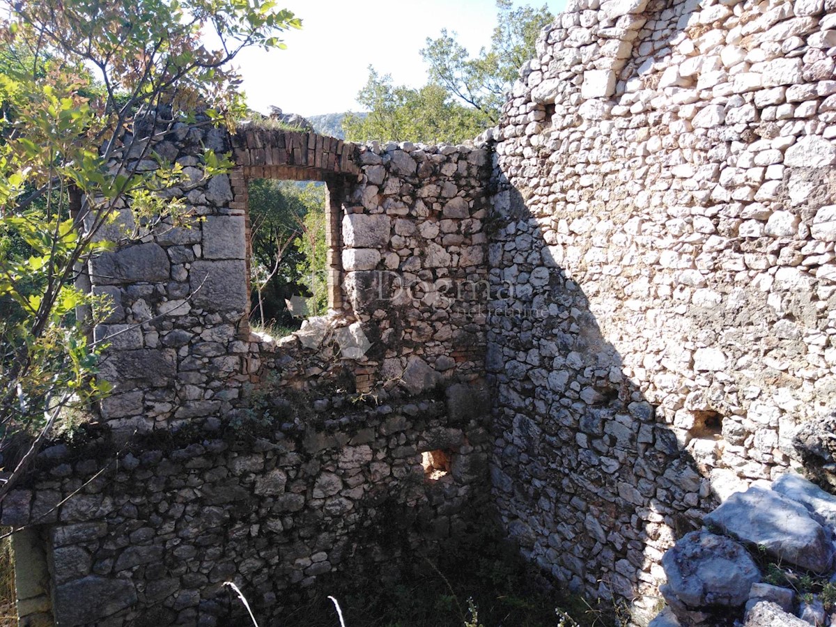 BRIBIR