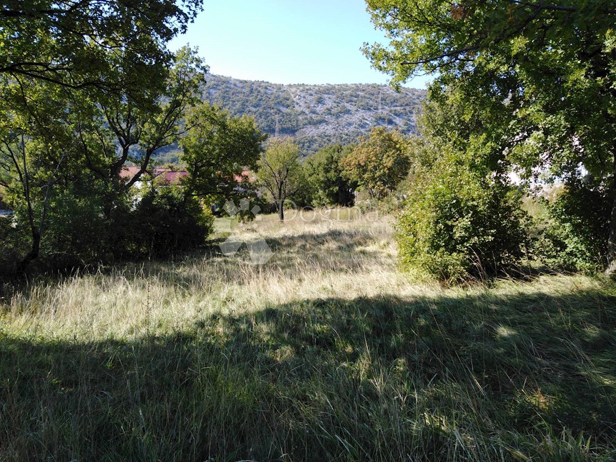 BRIBIR