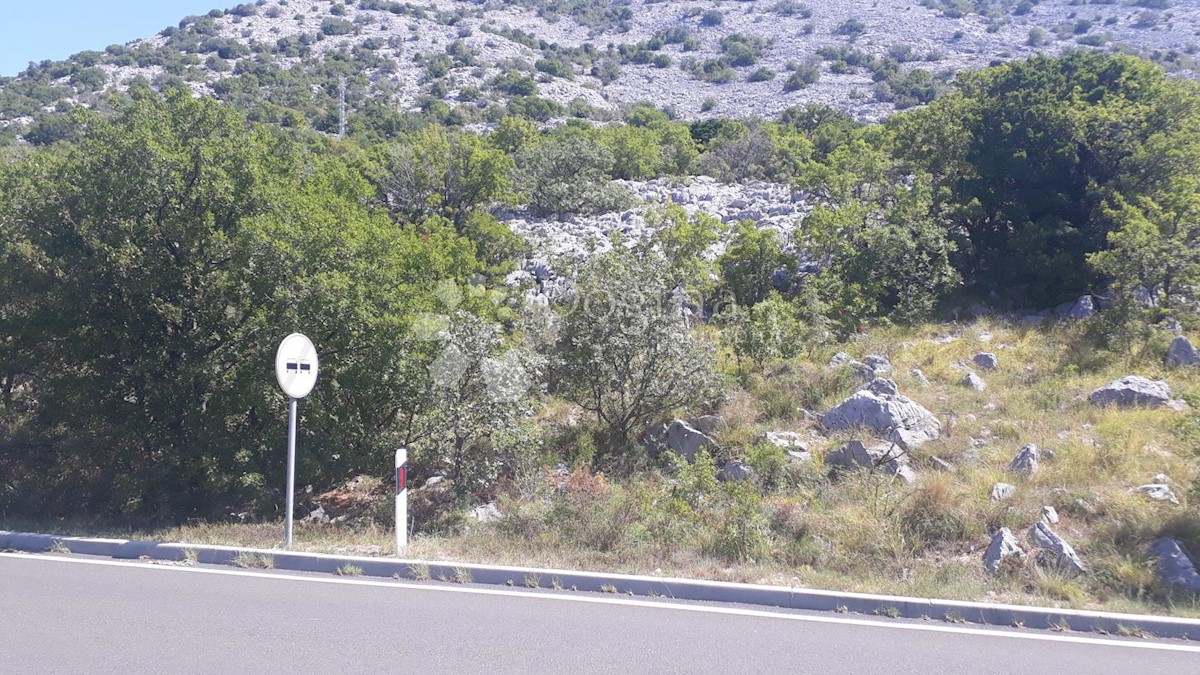 BARIĆ DRAGA