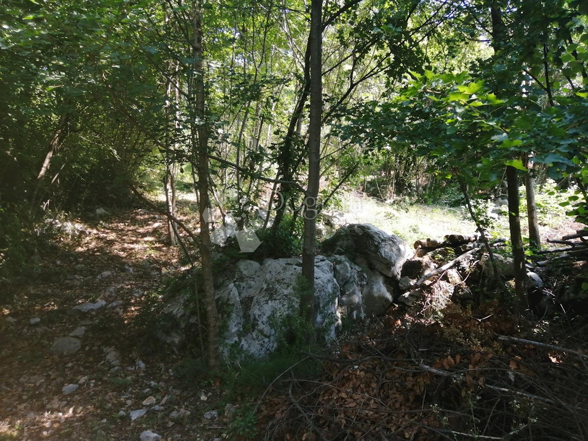 VEPRINAC