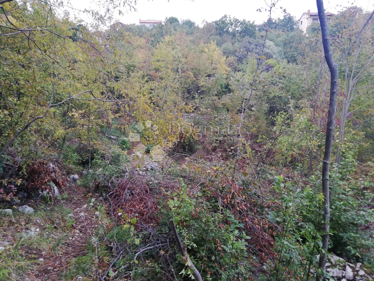 TRINAJSTIĆI