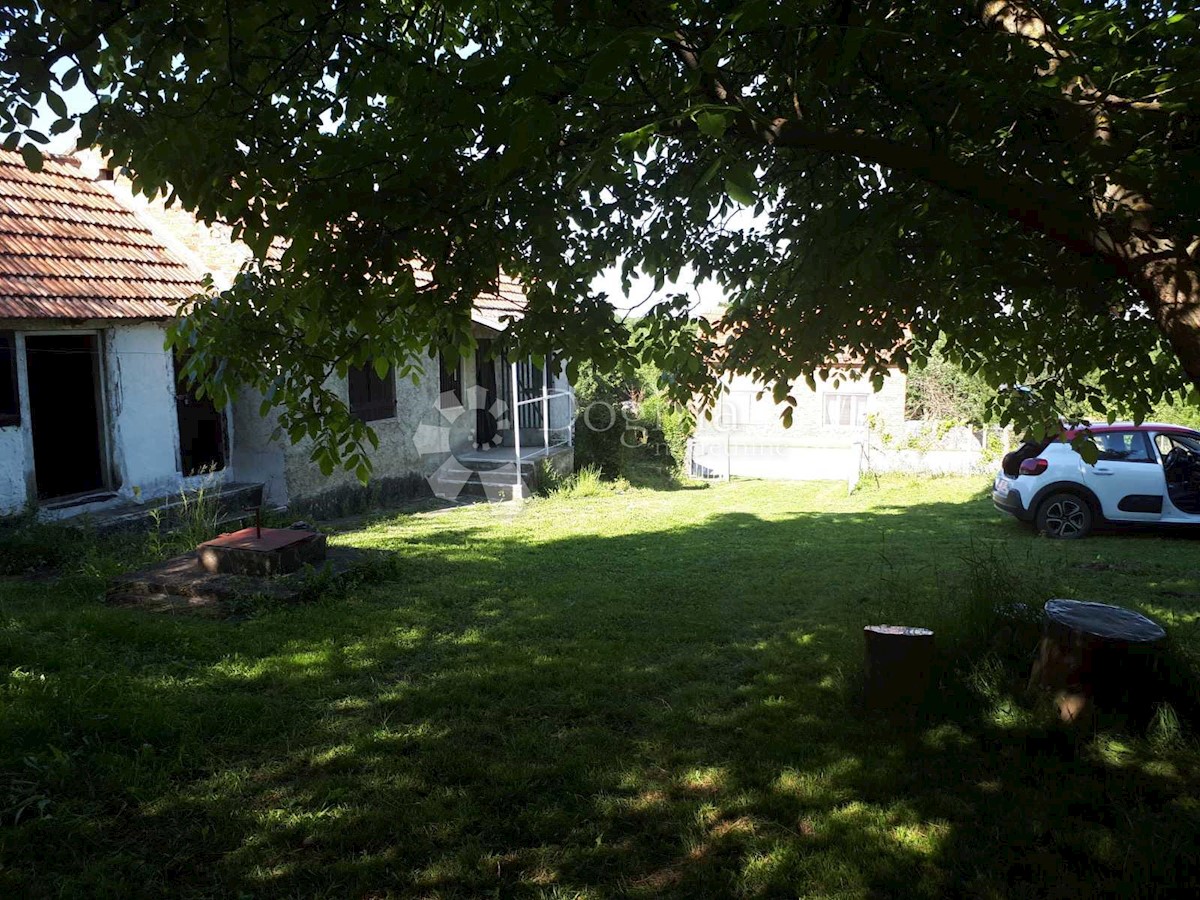 CEREMOŠNJAK