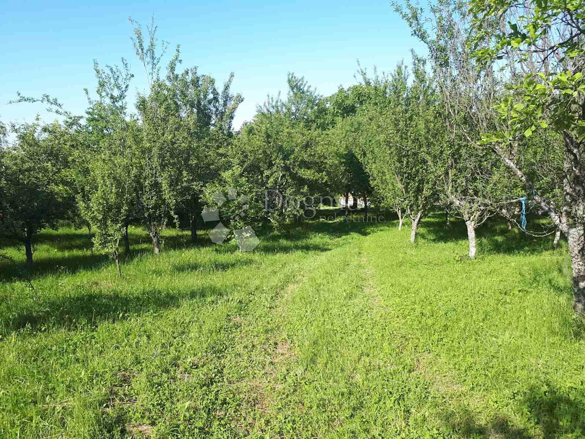 CEREMOŠNJAK