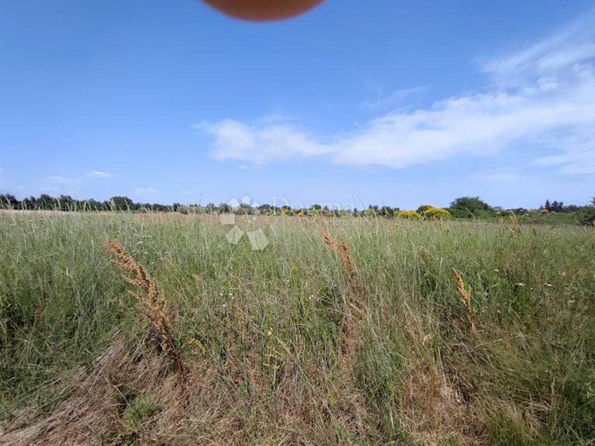 MARČANA