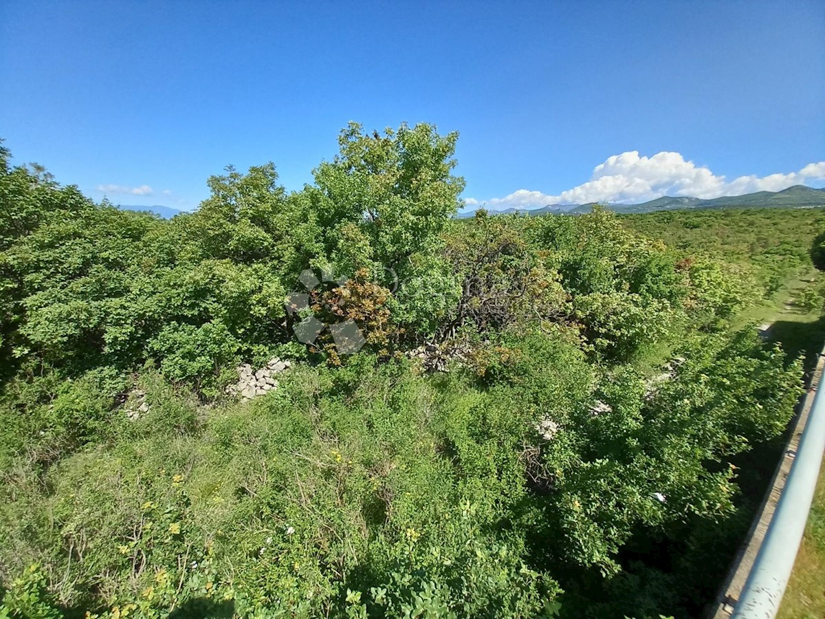 KRALJEVICA
