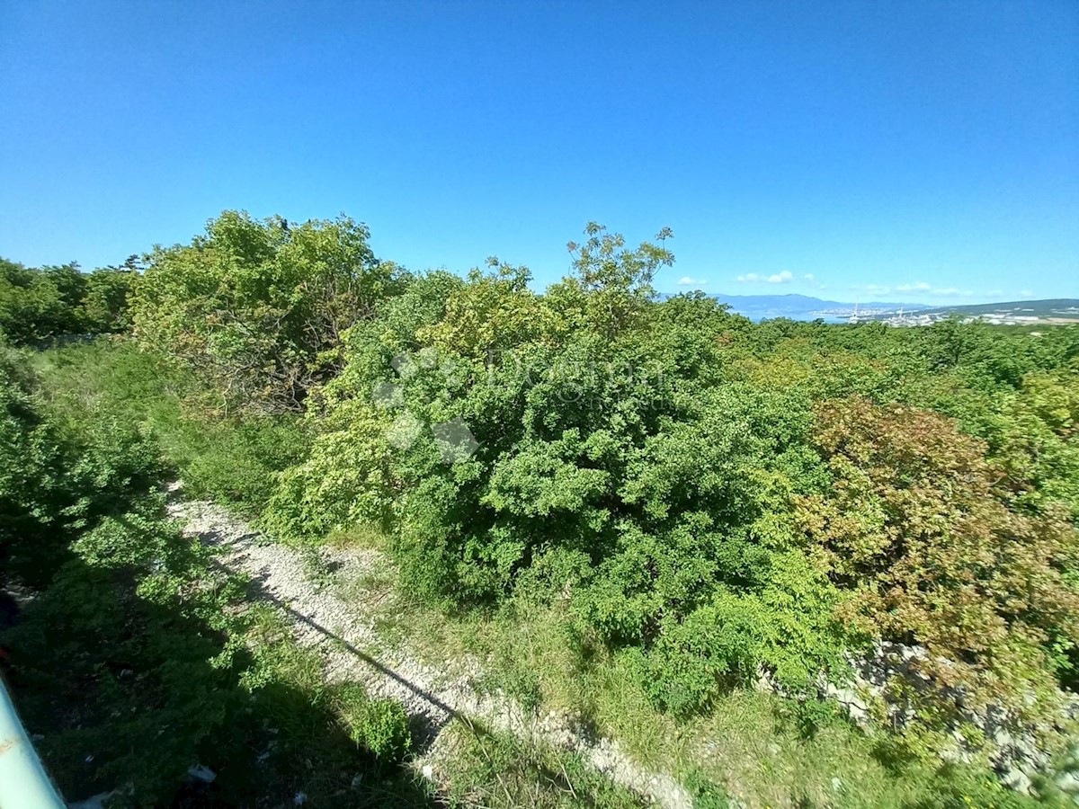 KRALJEVICA