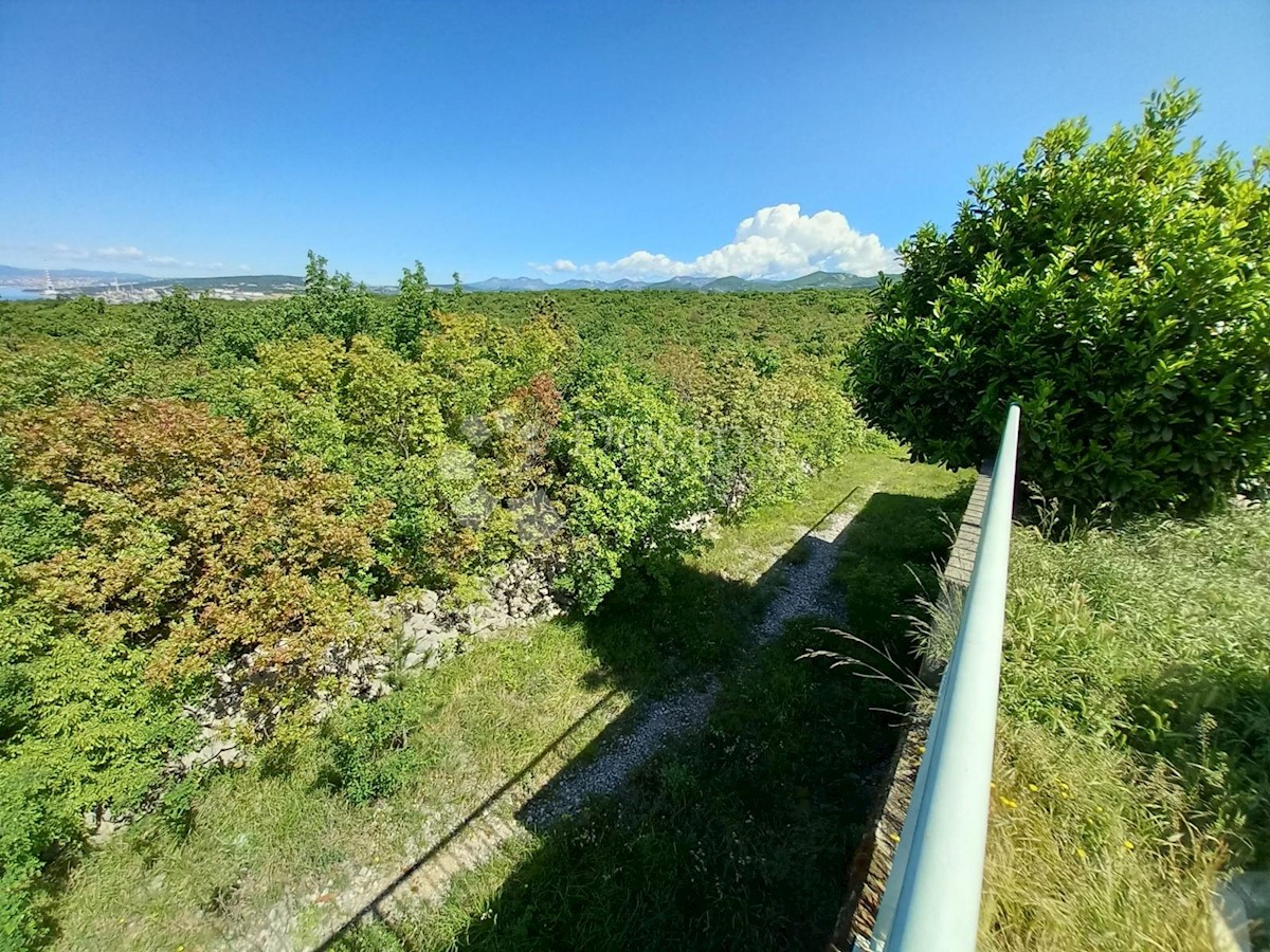 KRALJEVICA