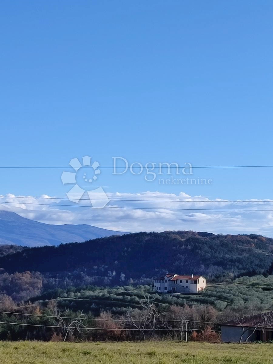 PENIČIĆI