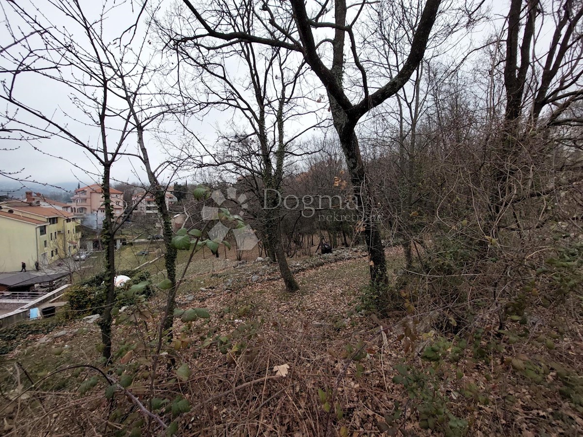 RUBEŠI